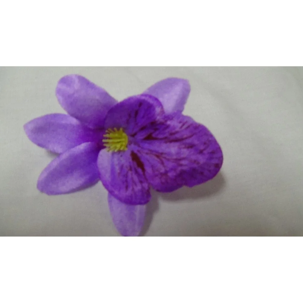 Orchid Flowers Heads 2.5